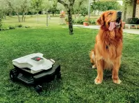 Billede 3 af Ambrogio TWENTY 25 ELITE