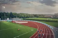 Billede 4 af Husqvarna CEORA 546 EPOS / RZ 43L / CS4