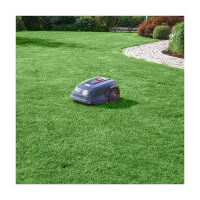 Billede 4 af Al-Ko Solo Robolinho 2000 W